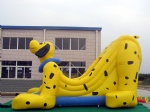 inflatable dog slide