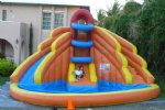 Inflatable kids water slide